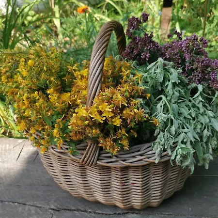 House In The Middle Of A Quiet Bosnian Village