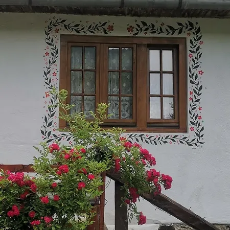 House In The Middle Of A Quiet Bosnian Village 公寓 福伊尼察
