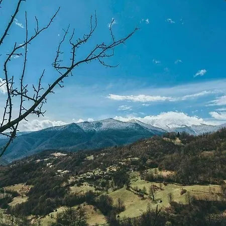 House In The Middle Of A Quiet Bosnian Village * 福伊尼察
