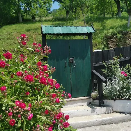 House In The Middle Of A Quiet Bosnian Village * 福伊尼察