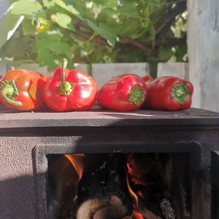 House In The Middle Of A Quiet Bosnian Village * 福伊尼察