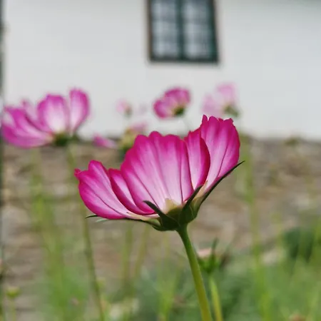 House In The Middle Of A Quiet Bosnian Village 公寓