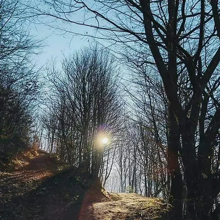公寓 House In The Middle Of A Quiet Bosnian Village 福伊尼察