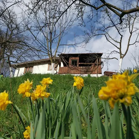 House In The Middle Of A Quiet Bosnian Village 福伊尼察