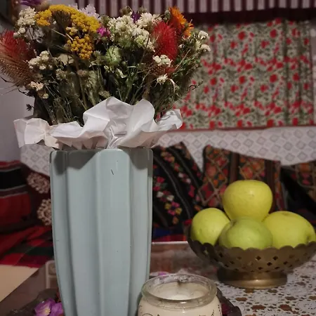 House In The Middle Of A Quiet Bosnian Village 公寓 *