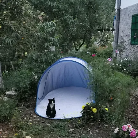 公寓 House In The Middle Of A Quiet Bosnian Village 福伊尼察