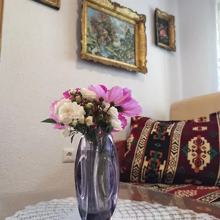 House In The Middle Of A Quiet Bosnian Village 公寓 *