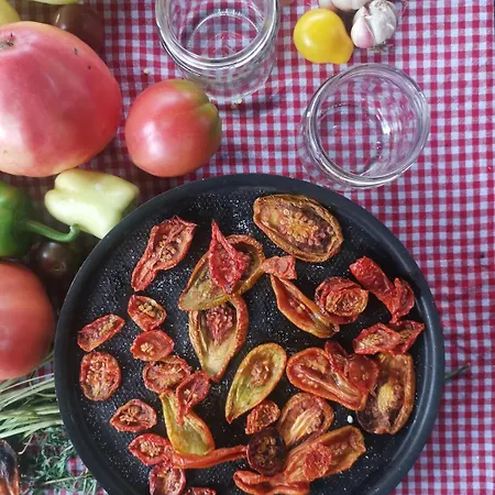 公寓 House In The Middle Of A Quiet Bosnian Village