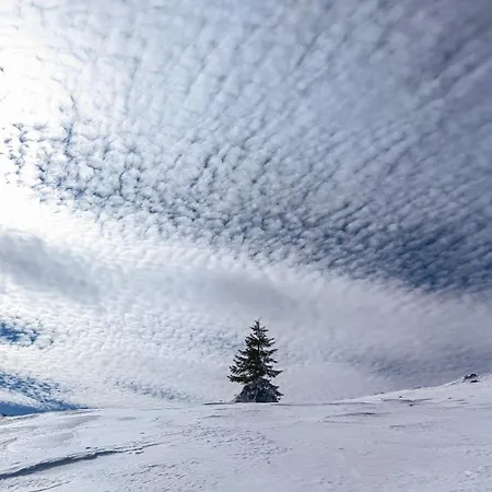 公寓 House In The Middle Of A Quiet Bosnian Village 福伊尼察