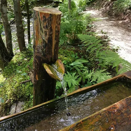 公寓 House In The Middle Of A Quiet Bosnian Village 福伊尼察