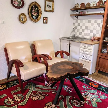 公寓 House In The Middle Of A Quiet Bosnian Village *